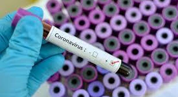 Incubo Coronavirus anche nelle Marche