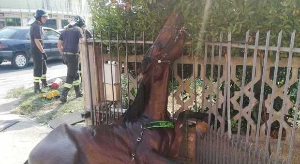 Cavallo imbizzarrito resta intrappolato nel cancello: liberato dai vigili del fuoco