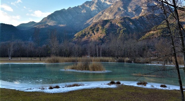 Una parte del grande stagno del lago di Cavazzo in questo gelido gennaio del 2017