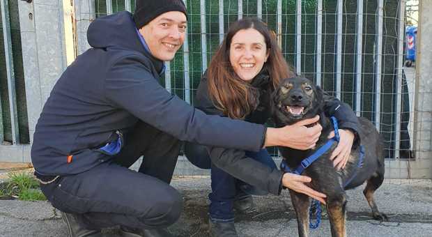Angela, salvata dal canile-lager in Romania ora ha trovato la felicità a Torino