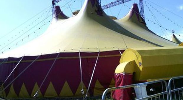 Rissa al circo tra animalisti e dipendenti: quattro contusi
