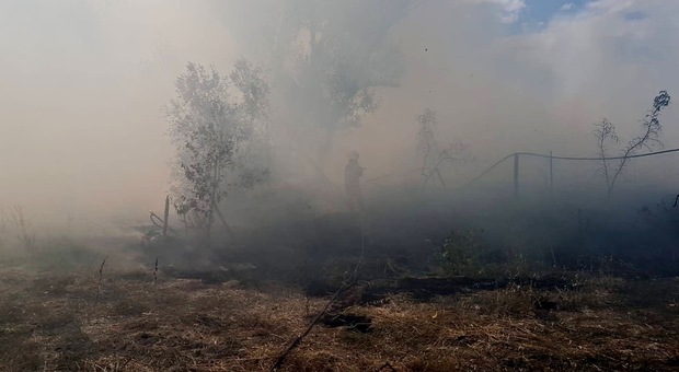 Bruciano ettari di sterpaglie a Tarquinia