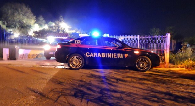 immagine Lanuvio, pitbull azzanna e ferisce i proprietari