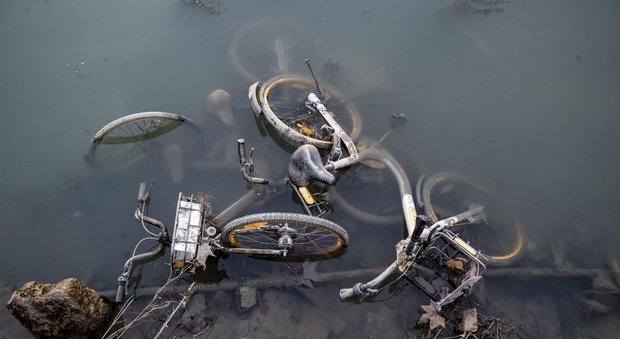 Roma, le bici del bike sharing buttate nel Tevere: la secca le fa riaffiorare