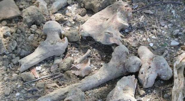 Al Pincio sono affiorate ossa umane nel corso di uno scavo