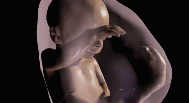Ecografie in 3D, le mamme vedranno il feto con la realtà virtuale