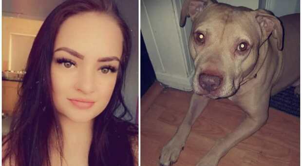 Ragazza sbranata e uccisa dal cane: il fratello le aveva regalato l'animale per il suo percorso di cura