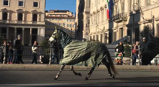 Roma, cavalli al galoppo in via del Corso: è uno spot sulla Costituzione