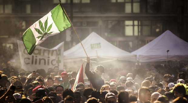 Raduno a Toronto pro cannabis