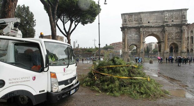 Maltempo Roma, rami caduti e alberi pericolanti in diverse zone: chiuso un tratto di Nomentana