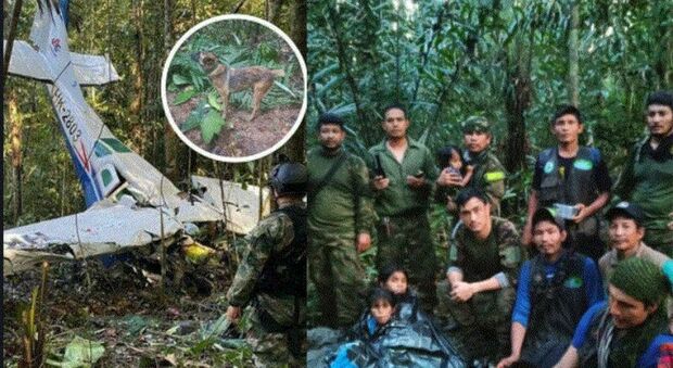 Colombia, quattro bambini ritrovati vivi dopo un incidente aereo e 40 giorni nella giungla: la madre morta nello schianto