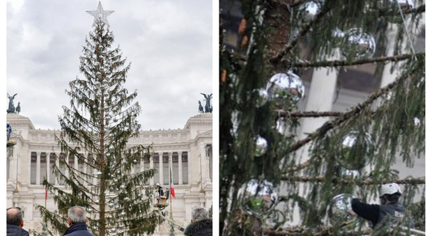 Roma, ecco l'albero di Natale addobbato a piazza Venezia