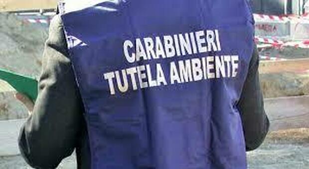 Nuova discarica a Roma, arrestati l'imprenditore Valter Lozza e la dirigente regionale Flaminia Tosini