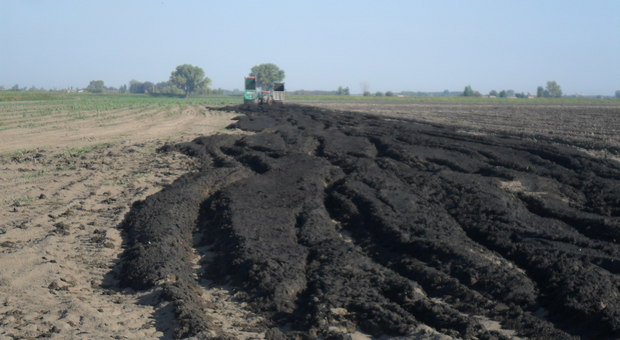 Una immagine dello smaltimento dei fanghi raccolta nelle indagini