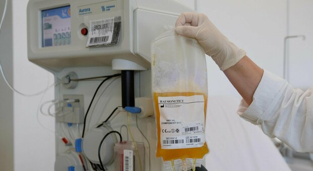 Coronavirus, fuori pericolo il primo paziente trattato con il plasma nelle Marche
