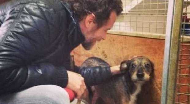 Jovanotti ha salvato Biagio, il cagnolino senza padrone: "Adottatelo, è dolcissimo"