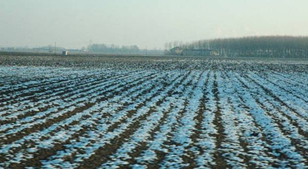 Agricoltura, allarme gelo per fronte aria fredda dai Balcani