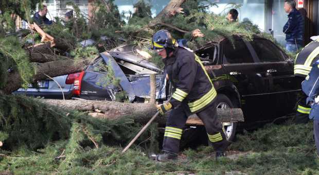 Meteo, alberi crollano sulle auto in Veneto: decine di auto schiacciate