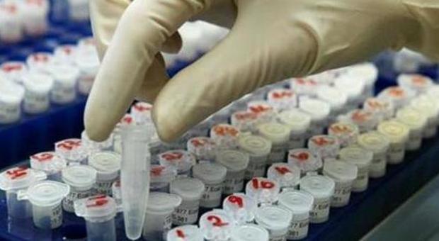 Test di farmaci finisce in tragedia in Francia: "5 ricoverati gravi, uno in stato di morte clinica"