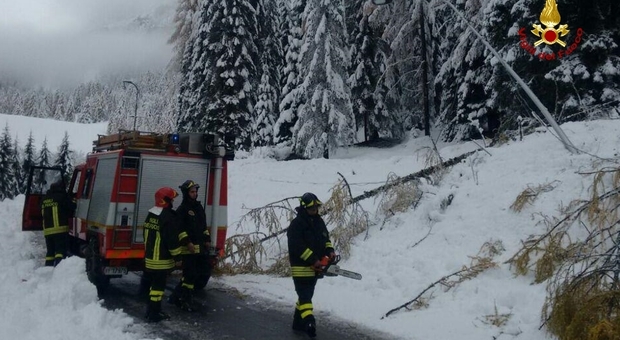 Vigili del fuoco impegnati nella rimozione di alberi caduti causa vento e neve