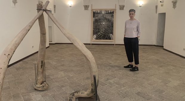 L artista Claudia Losi, vincitrice nel 2020 dell Italian Council, tra un opera della serie Ossi e una fotografia su tela