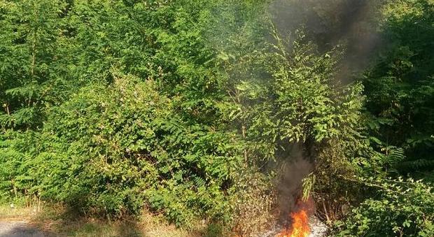 Frosinone, incendio boschivo: un arresto a Villa Latina