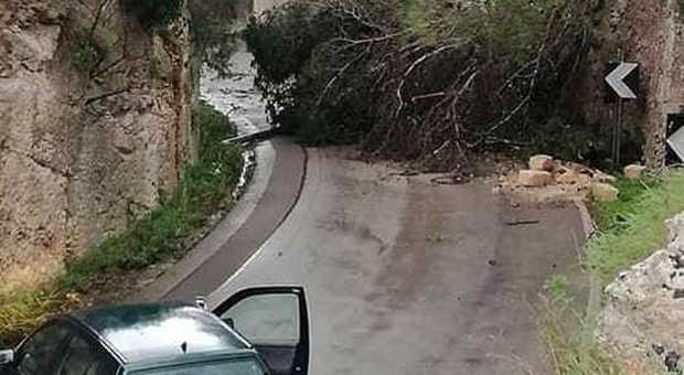 In Puglia 11 tornado: da Coldiretti pressing al governo per i fondi