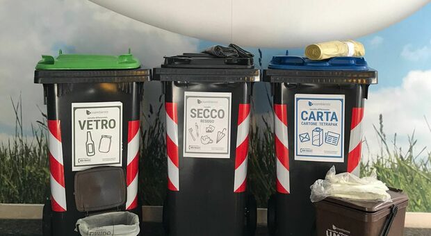 Bidoni della spazzatura di Ecoambiente Rovigo