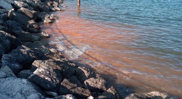Pesaro, il mare si tinge di rosso nel primo vero giorno "da spiaggia"