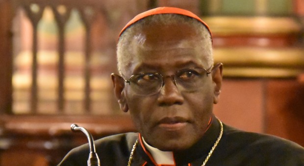 Il cardinale Sarah al Papa: «Stop ai fotografi a matrimoni e comunioni»