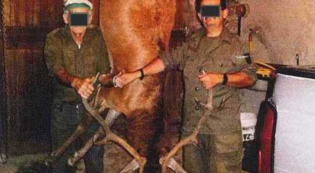 Foto con il cervo ucciso, bracconieri scoperti e denunciati