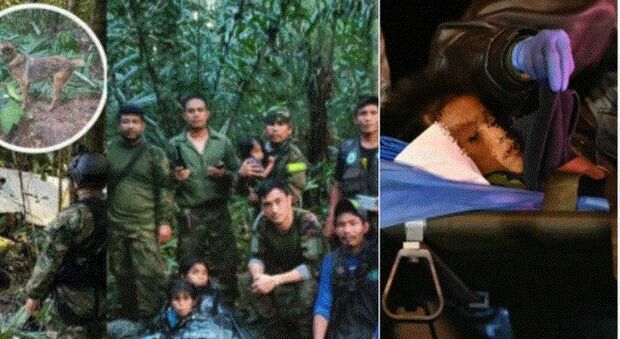 Colombia, quattro bambini ritrovati vivi nella giungla dopo 40 giorni: sopravvissuti «grazie all'educazione della nonna»