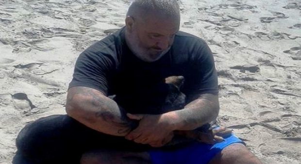 Choc in spiaggia, rottweiler ucciso con un colpo di fucile alla testa