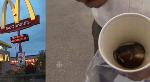 Beve il caffè al McDonald's e trova un topo morto sul fondo della tazza