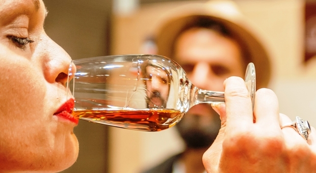ShowRum, il festival internazionale dedicato al Rum, giunto alla sua settima edizione