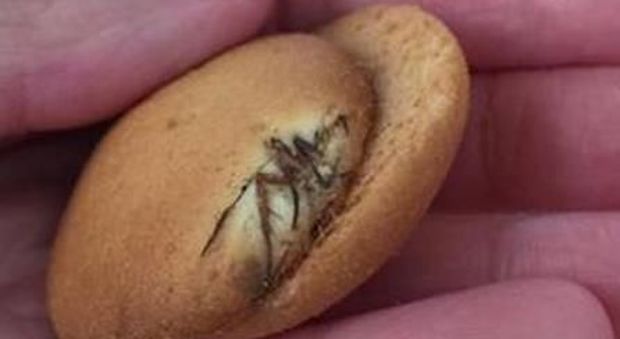 Trova un ragno cotto nei biscotti della figlia: «La risposta dell'azienda è offensiva»