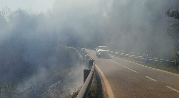 Scoppia l'incendio nella macchia di alberi e arbusti: strada invasa dal fumo