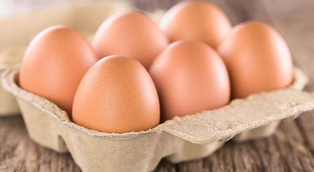 Allerta per uova contaminate da Salmonella, ritirati diversi lotti di prodotto: ecco dove