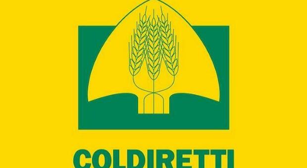 Soddisfazione Coldiretti Lazio per firma Dl Decontribuzione filiere