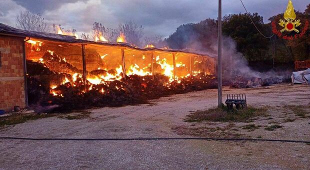 Scoppia un furioso incendio all'alba a San Severino: fienile distrutto dal fuoco