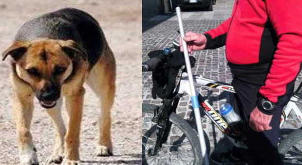Cicloturisti e pedoni girano "armati" per difendersi dai cani dei nomadi