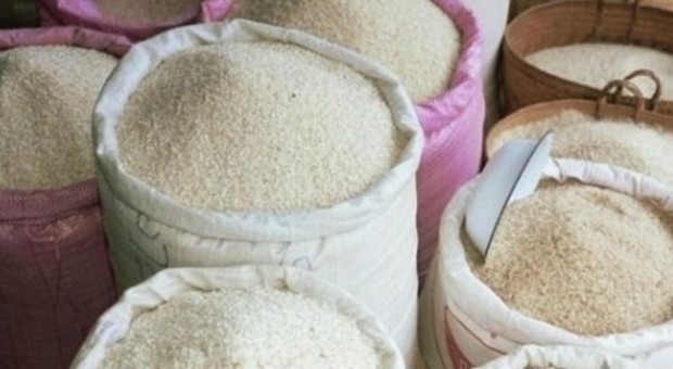 La truffa del riso bio: la Finanza sequestra 3.800 tonnellate trattate con diserbanti vietati