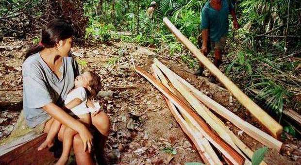 Allarme deforestazione in Amazzonia: in un anno è aumentata del 467%