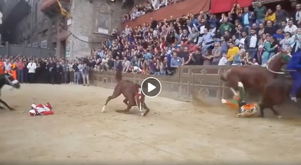Palio di Siena nel caos, le drammatiche immagini della morte del cavallo dopo la caduta Video