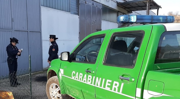 Rieti, i carabinieri forestali sequestrano carrozzeria non in regola, sanzionati i due responsabili