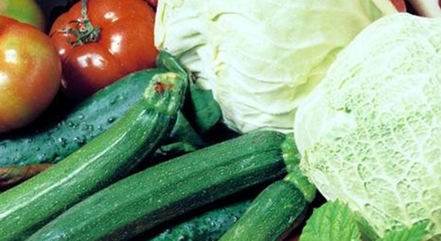 Foligno, furti a chilometri zero: sparita insalata, melanzane e due capponi