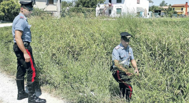 I carabinieri sul luogo di ritrovamento del giovane ormai deceduto