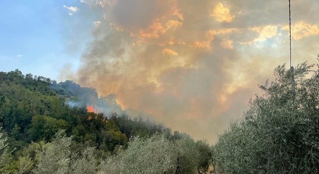 Più di cento ettari in fumo in provincia di Terni e il sospetto del dolo: i carabinieri forestali indagano sugli ultimi roghi