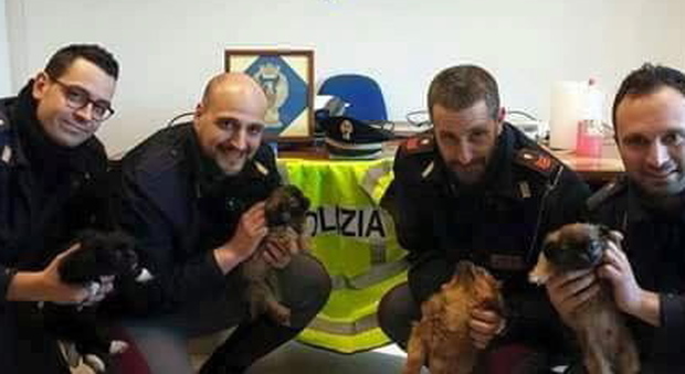 Gli agenti della Polizia Stradale di Rovigo con i cuccioli salvati