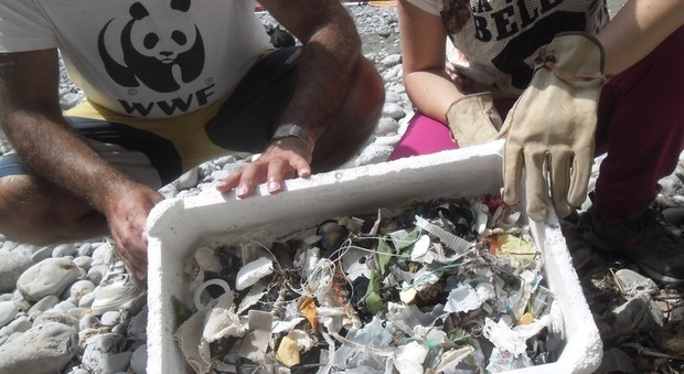 «Guerra ai rifiuti di plastica»: il Wwf ripulisce le spiagge della Costiera